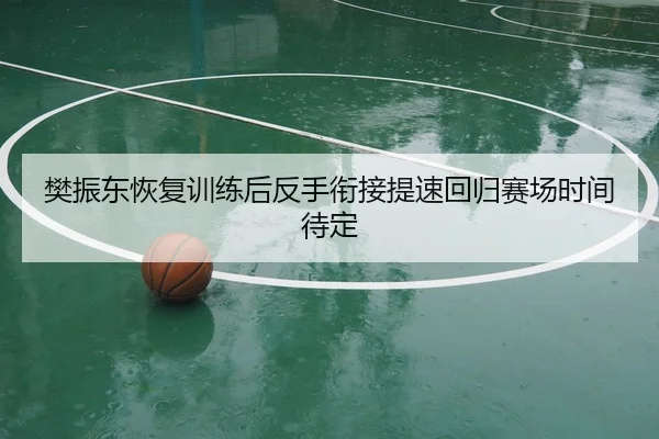樊振东恢复训练后反手衔接提速回归赛场时间待定